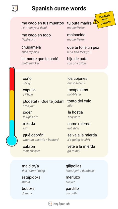 Mexican swear words : r/Spanish